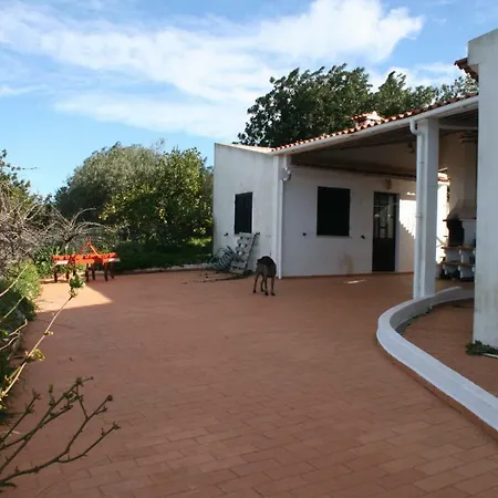 Monte Dos Netos *